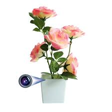 Flower Pot Spy Camera